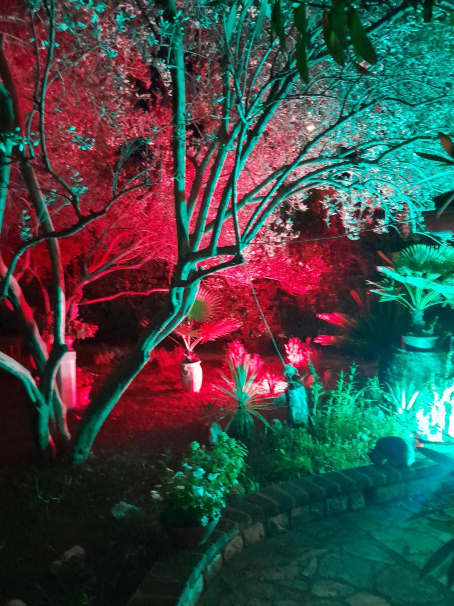 Apartments Rozic ラブ エクステリア 写真